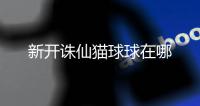 新开诛仙猫球球在哪