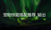 宠物技能搭配推荐_输出_vs_辅助如何选_
